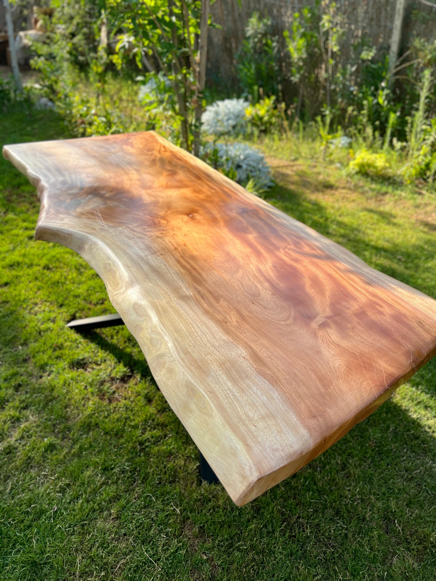 The Grounded Horizon