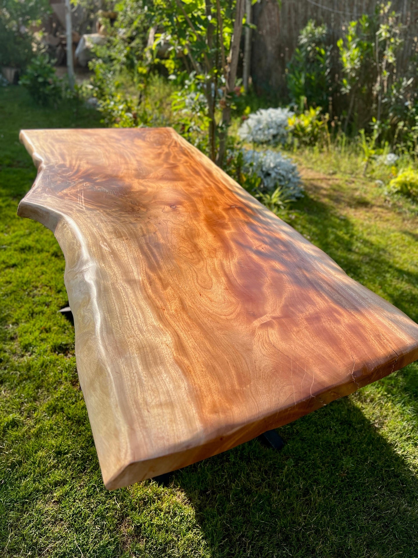 The Grounded Horizon