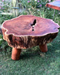 The Tree Core Table